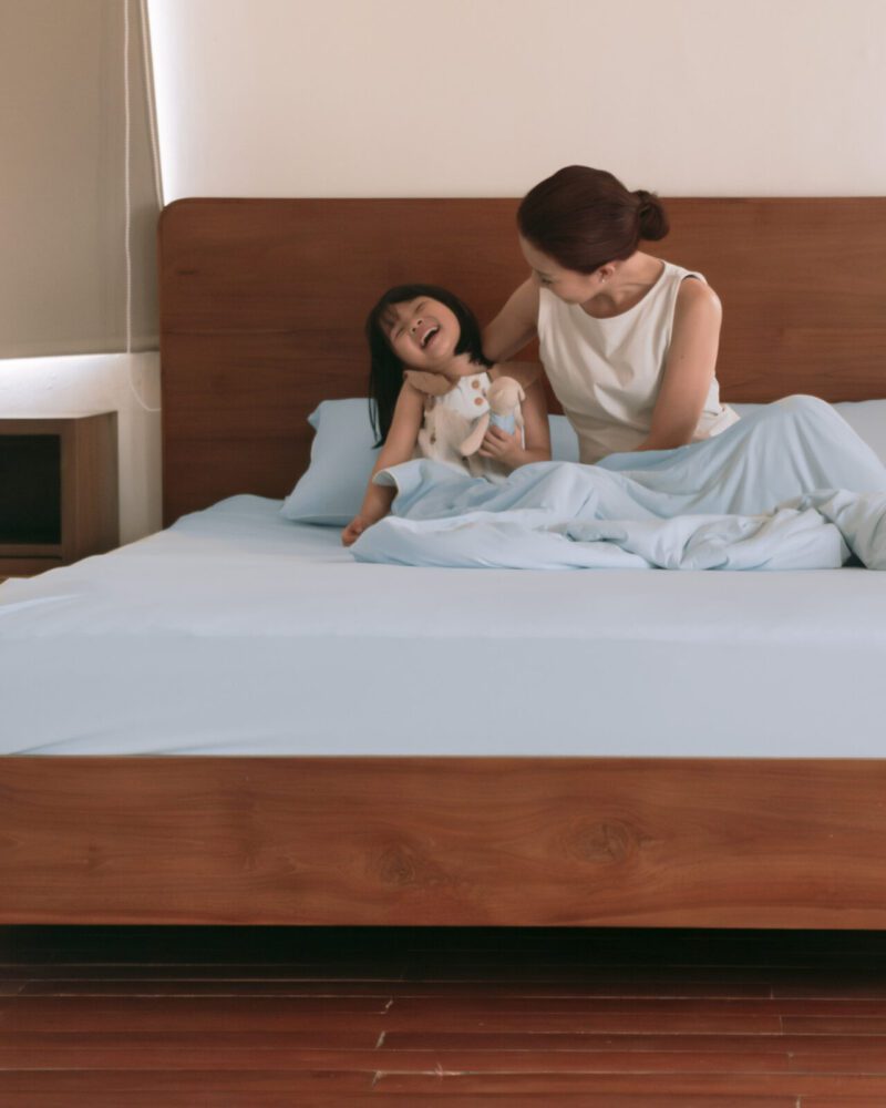 ADULT SUMMER FITTED SHEET SET [INCLUDE 2 PILLOW CASE] - BABY BLUE