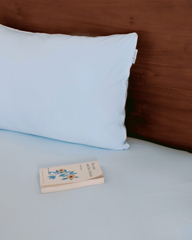 ADULT PILLOWCASE PAIR - BABY BLUE