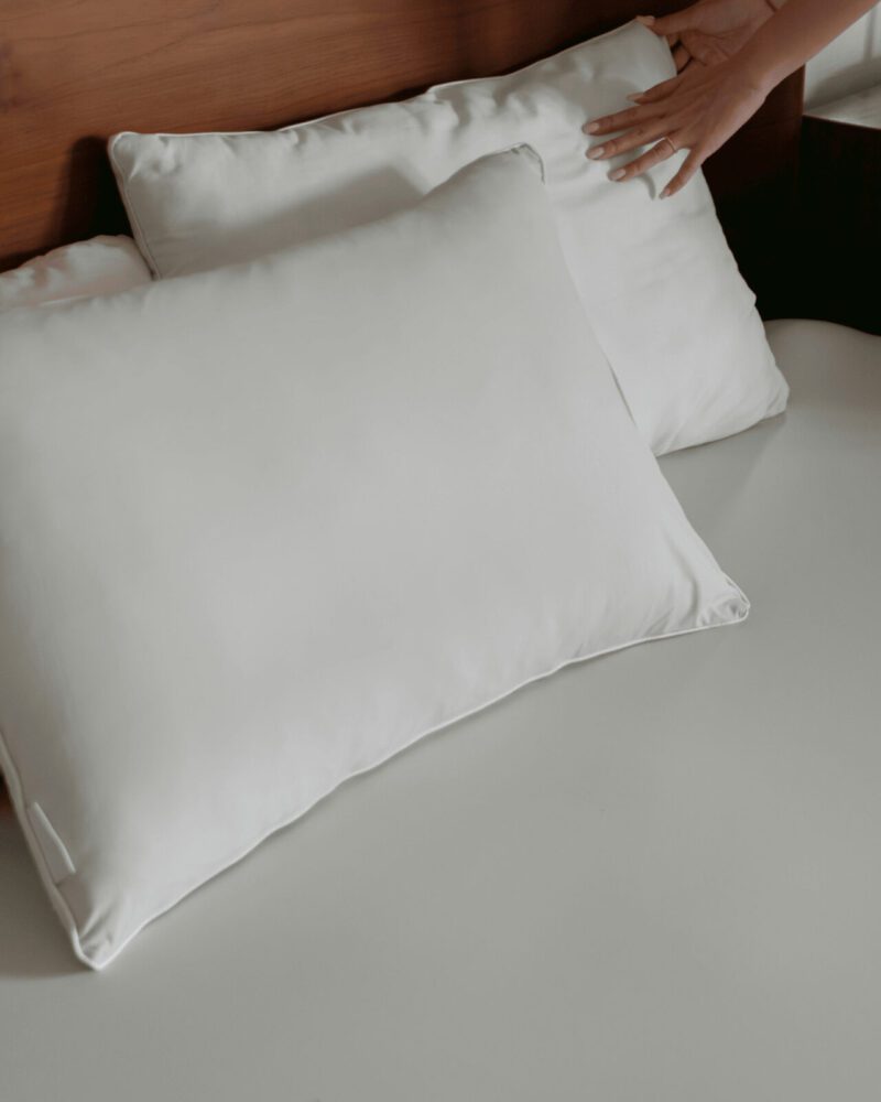 ADULT PILLOWCASE PAIR - SAGE